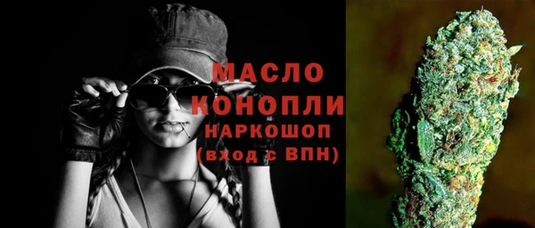 спиды Ельня