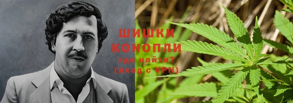 тгк Елизово