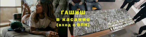 спиды Ельня