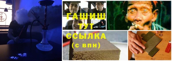 спиды Ельня