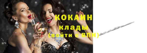 спиды Ельня