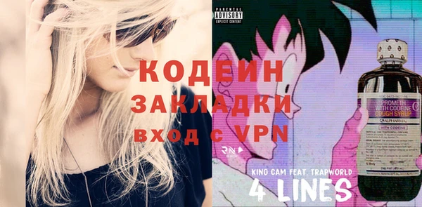 спиды Ельня