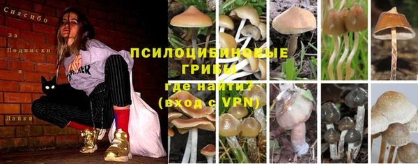 спиды Ельня