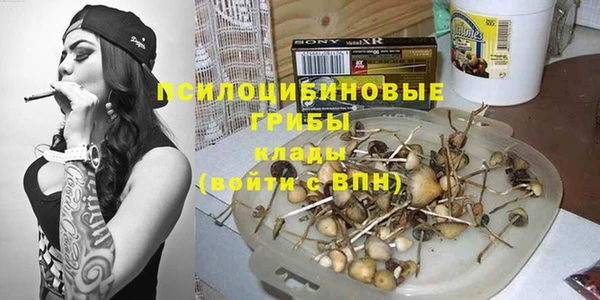 тгк Елизово