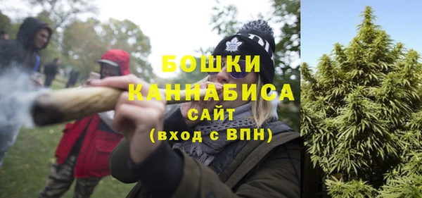 тгк Елизово
