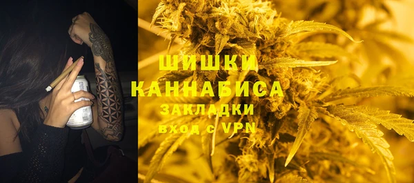 тгк Елизово